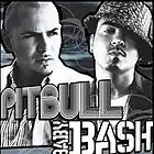 Picture for song 'Pitbull ft Baby bash type hit' by artist 'Rich Frat Beatz'