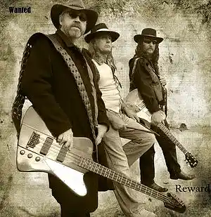 Picture for song 'Shadow Play' by artist 'Steve Hertel Band'