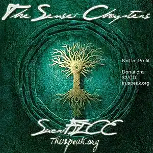 Picture for song '14 - Cosmic' by artist 'The Sensei Chapters'
