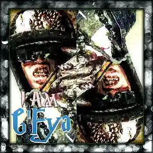 cover pic