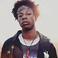 Picture for song 'Flight *FREE DL* (Buy 1 Get 3 Free)' by artist 'Larkin Beats'