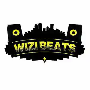 Picture for song 'Start' by artist 'Wizibeats'