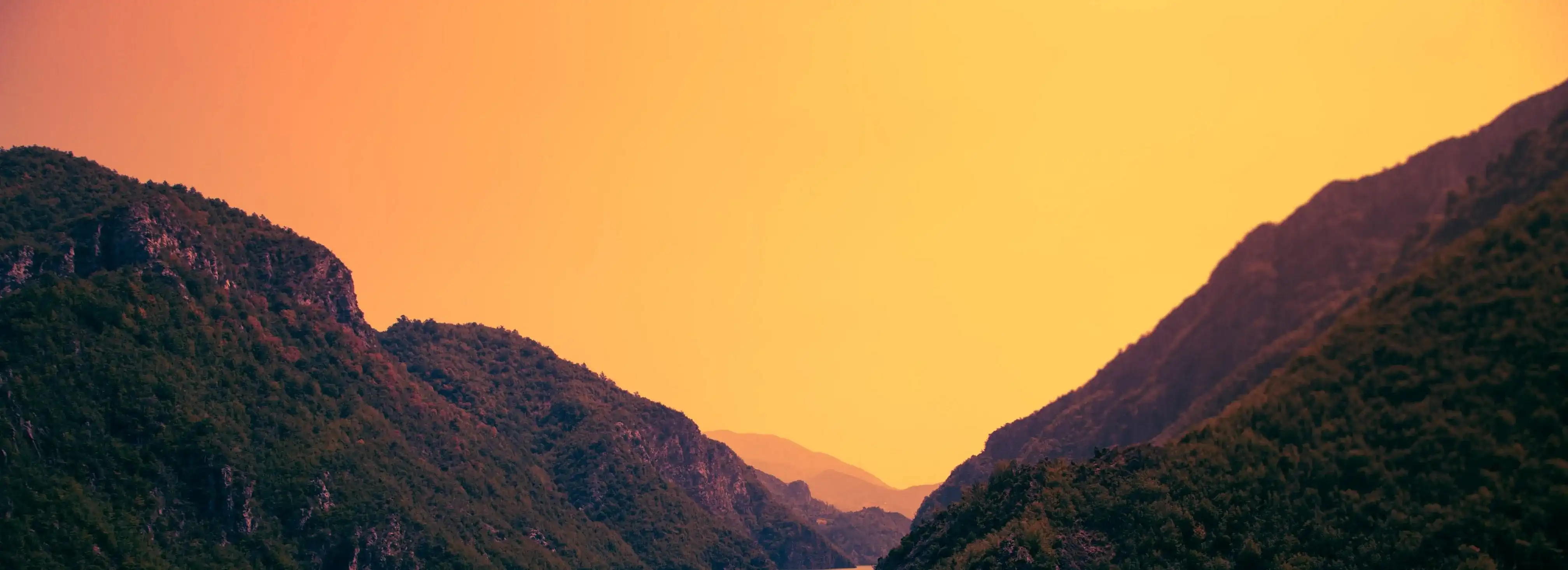 cover pic