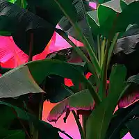 Picture for song '*NEW* Channel (FREE D/L)' by artist 'Dope Orchestra'