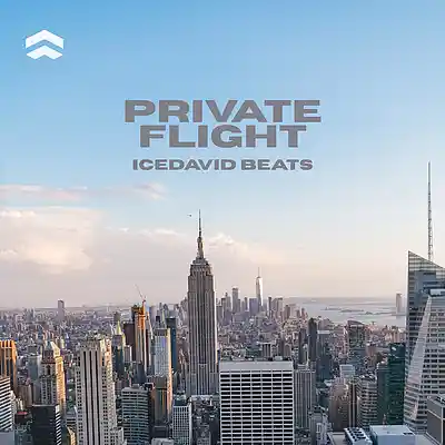 Picture for song 'Private Flight - Trap Beat' by artist 'IceDavid Beats'