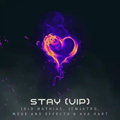 Picture for song 'STAY (VIP REMIX)' by artist 'JCM3XTRO'