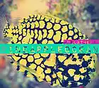 Picture for song '@NUELatHEART - PARADES (PRODUCED BY KONCEPT)' by artist 'Koncept Beats'