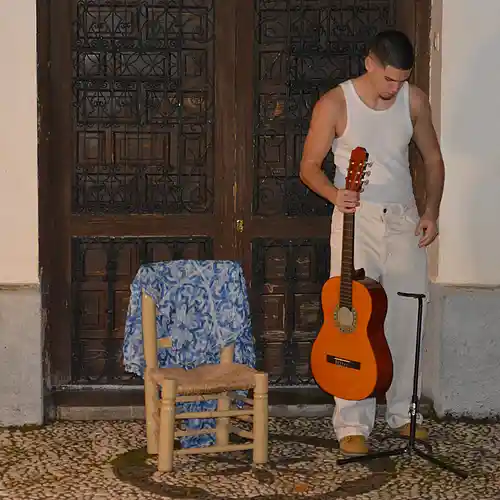 Artist picture
