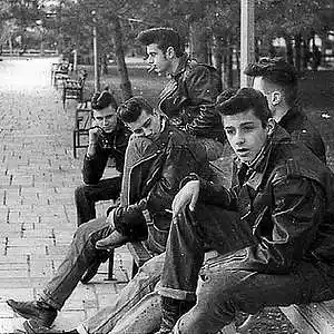 Picture for song 'Heather Ann Shepard - All The Young Dudes' by artist 'TROLL FARM STUDIOS'
