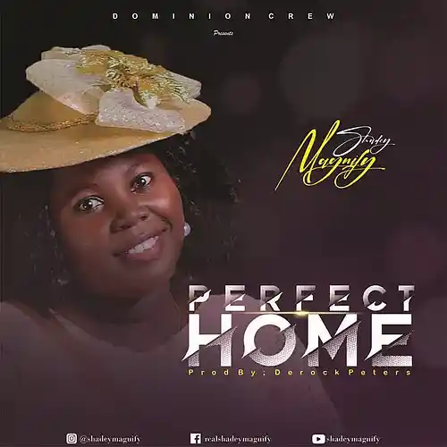 Picture for song 'Perfect Home' by artist 'SHADEY MAGNIFY'