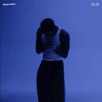 Picture for song 'LUNA (1+1 FREE) AFROBEAT' by artist 'SIGHOST'