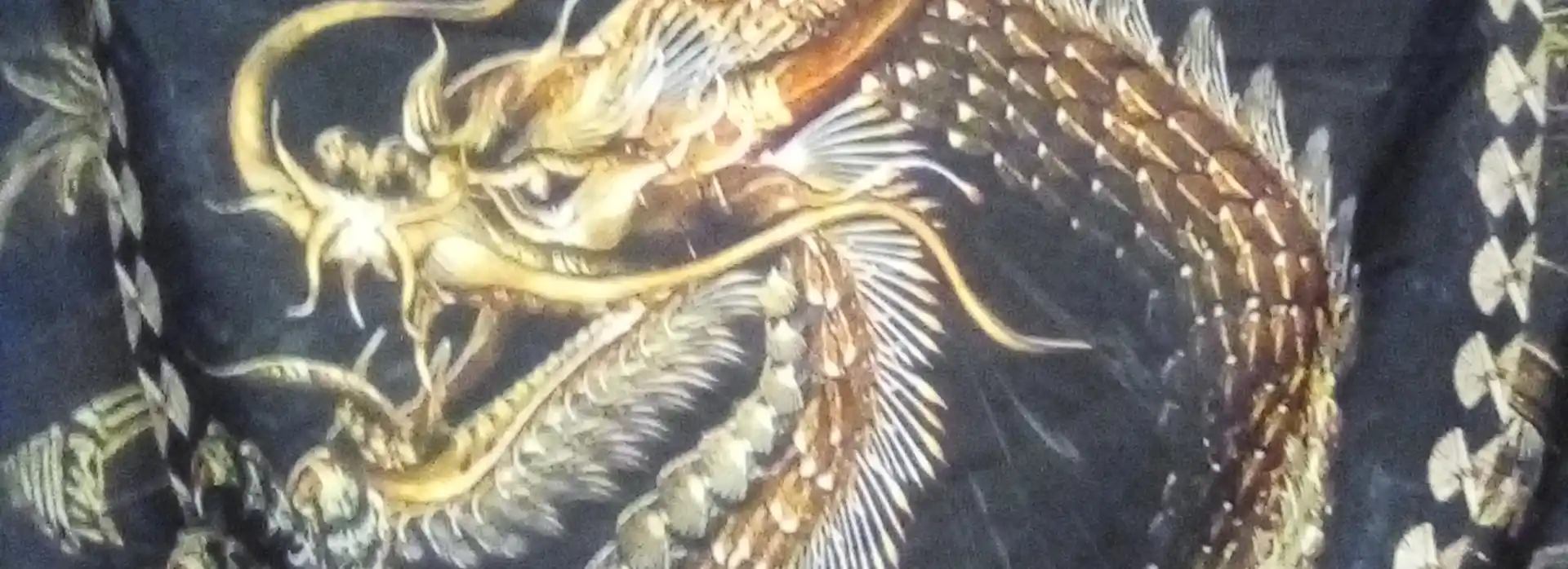 cover pic