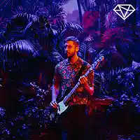 Picture for song 'HOLD MY HAND' by artist 'BEATS by Diamond Style'