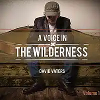 Picture for song 'Mansion In The Sky - David Vaters - A Voice In The' by artist 'David Vaters'