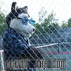 Picture for song 'Making A Fursuit (SonicBlu Darkfold cover)' by artist 'Halfshell'