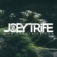 Picture for song 'Architect' by artist 'Joey Trife'