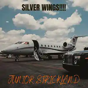 Picture for song 'SILVER WINGS!!!' by artist 'JUNIOR STRICKLAND'