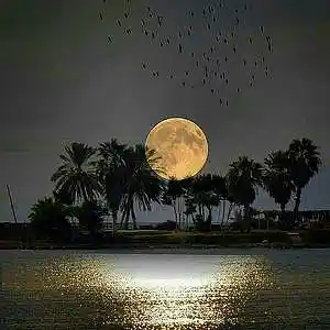 Picture for song 'Inspire The Moon' by artist 'paul gorman and the hypnotist collectors'