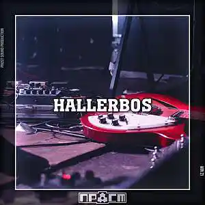 Picture for song 'PROST - Hallerbos (SOLD)' by artist 'Prost Sound Production'