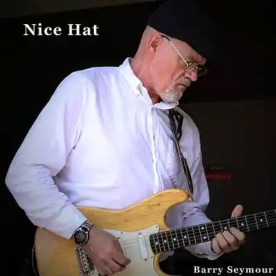 Picture for song 'A Good Country Song' by artist 'Barry Seymour'