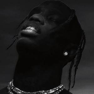 Picture for song 'Fried' by artist 'THE GOD ADOT'