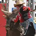 Picture for song 'Bull Fighting Man' by artist 'Apricot Lily'