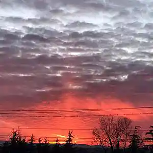 Picture for song 'Miami beach' by artist 'zzzzzzzzz'