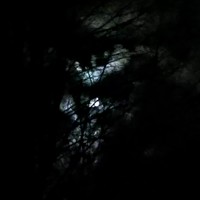 Picture for song '13.serious moonlight wip' by artist 'BGN'