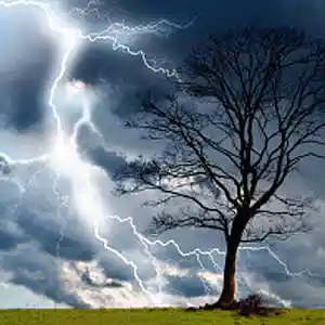 Picture for song 'Symphonie 6 M 4-5 (Beethoven) *' by artist 'Christian Faivre'