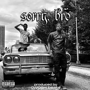 Picture for song 'Sorry, bro beat (Produced by CWOSH beats)' by artist 'CWOSH beats'