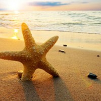 Picture for song 'back on the beach 1989' by artist 'danielgomez'