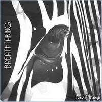 Picture for song 'Maybe No Gods, Only Highways' by artist 'David Maeso'