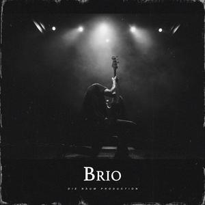 Picture for song 'BRIO (Jelly Roll Type Beat X Yelawolf Country Rock' by artist 'Die Naum Production'