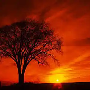 Picture for song 'suck me' by artist 'dill'