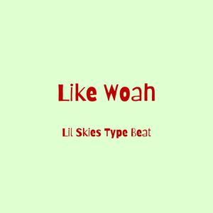 Picture for song 'Like Woah' by artist 'DJ Mauri B'