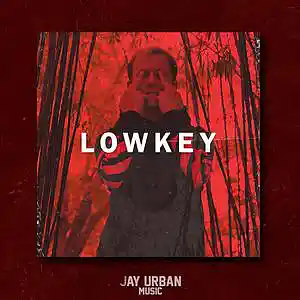 Picture for song 'Lowkey (Ty Dolla Sign x Rory Fresco Type Beat)' by artist 'JayUrbanMusic'