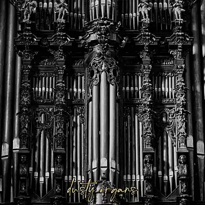 Picture for song ''dusty organs'' by artist 'Larry Soundz'