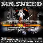 Picture for song 'Ice got me 2 Fly' by artist 'Mr Sneed'