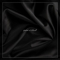 Picture for song 'Skepper - Paint it Black' by artist 'Noextent'