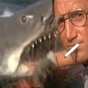 Picture for song 'Jaws Theme' by artist 'Previous Signs of Decay'