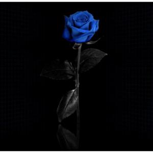 Picture for song 'Sad Phora Type Beat ft. XXXTentacion Roses 120bpm' by artist 'Prod. Pizzle'