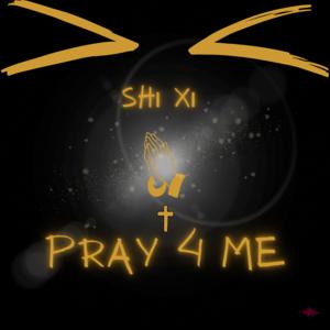 Picture for song 'Pray 4 Me' by artist 'SHi XI'