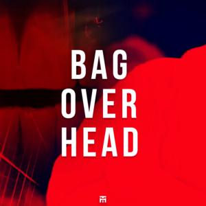 Picture for song 'Bag Over Head' by artist 'TEDYSTER'