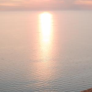 Picture for song '"In And Out" Beat for Sale' by artist 'whoDeanyBeatz'