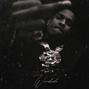 Picture for song 'Woodside - Fuck with it' by artist 'Woodside Beatz'