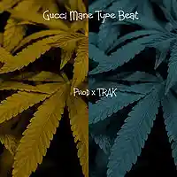Picture for song 'Gucci Mane TYPE BEAT Commas TYPE PROD x TRAK' by artist 'Zayroc Beats'