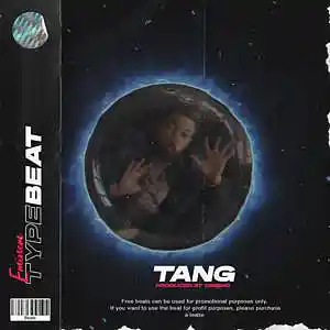 Picture for song 'Tang' by artist 'Dimsho Beats'