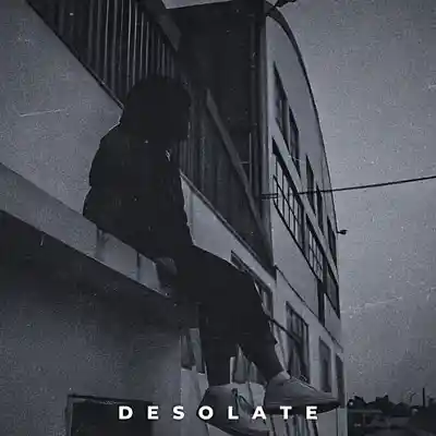 Picture for song 'Desolate' by artist 'Erawy'