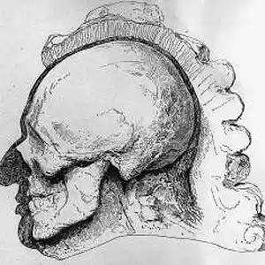 Picture for song 'Bach Prelude in D' by artist 'JimRoss'