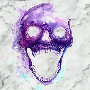 Song picture